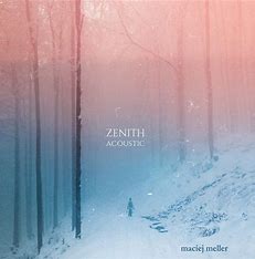 MACIEJ MELLER (members Riverside/Quidam) - Zenith acoustic
